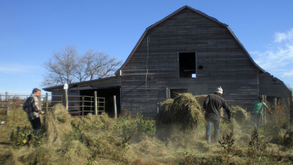 Farmarbeit Kanada | TravelWorks