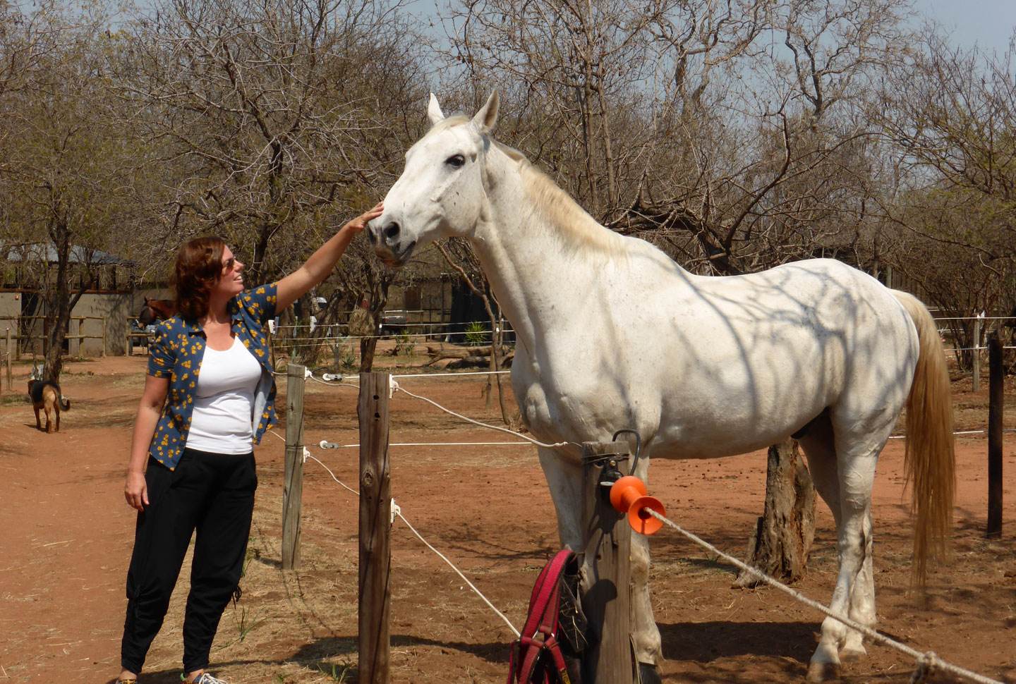 Pferderanch Pferderanch