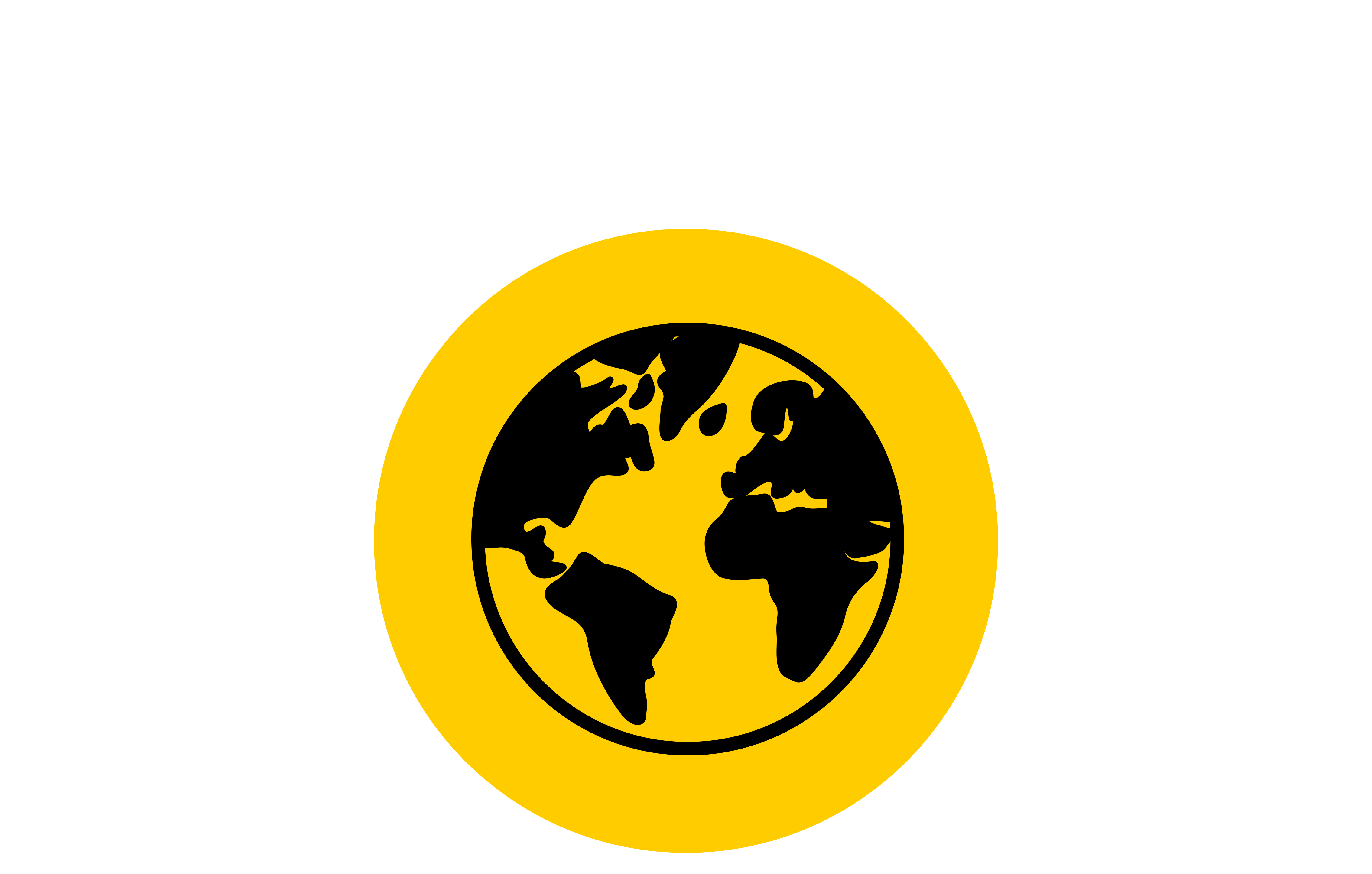 Icon Weltkugel