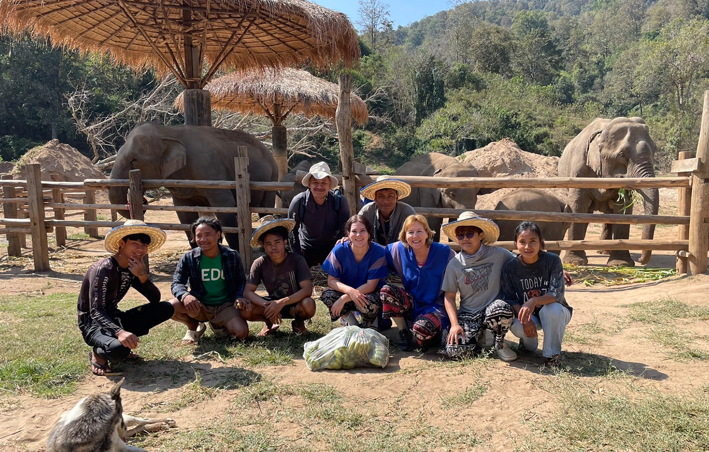 teaser-freiwilligenarbeit-thailand-elefantenprojekt-chiang-mai-partnerfoto-2026