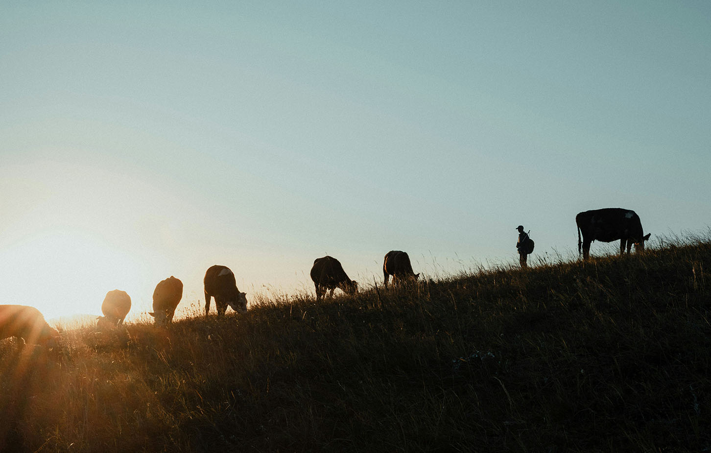 travelworks-work-and-travel-kanada-farmstay-teaser